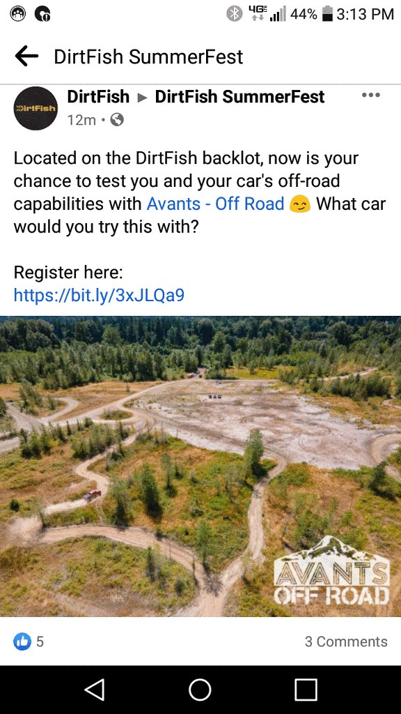 dirtfish.jpg