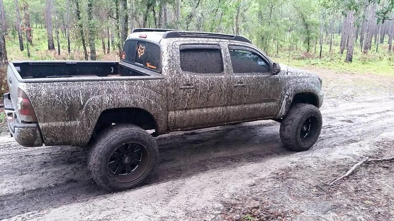dirty bitch.jpg