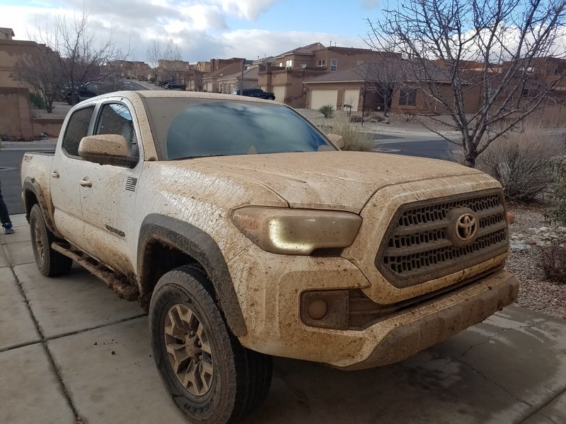 dirty taco.jpg