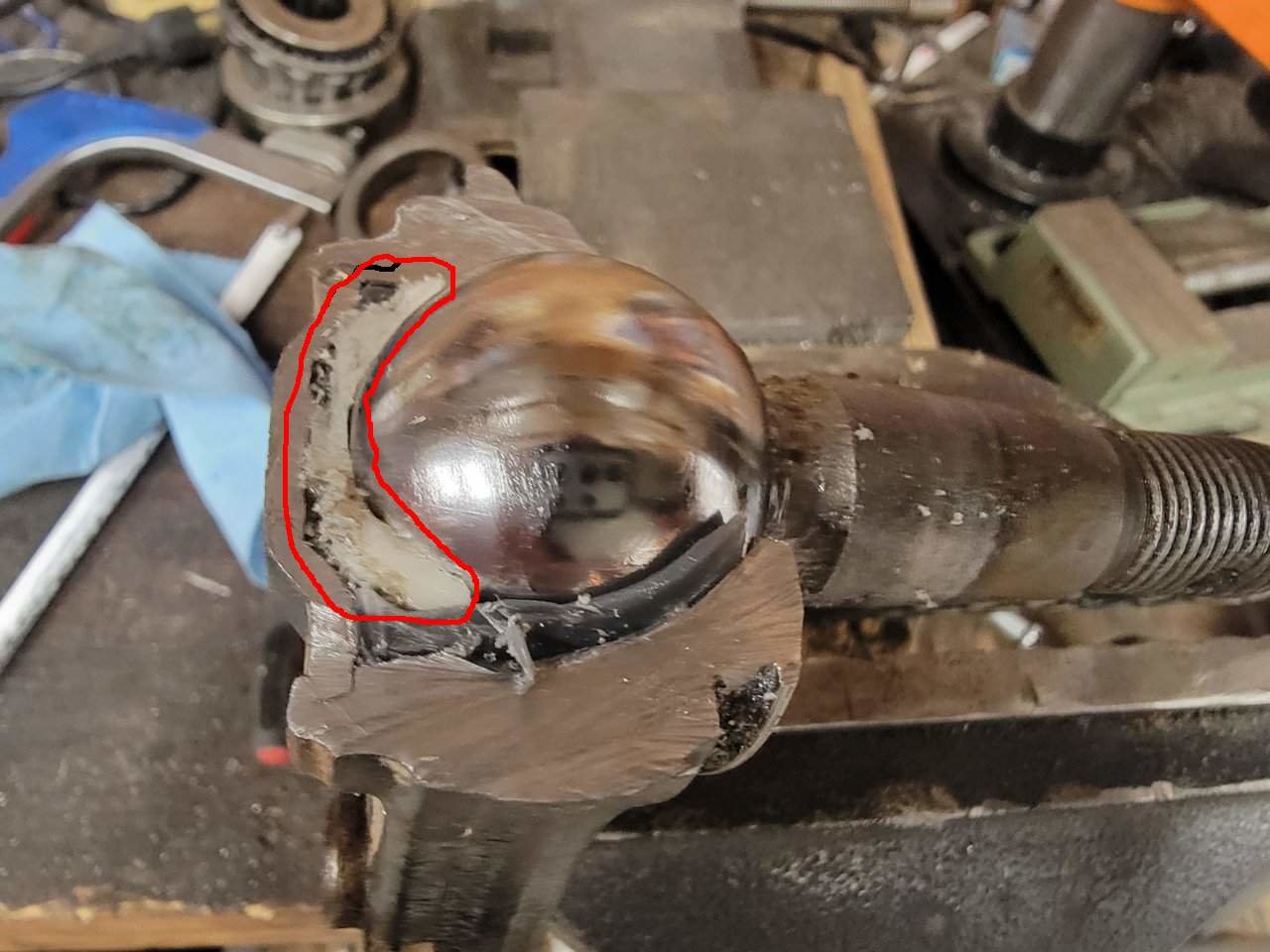 Disected BJ.jpg