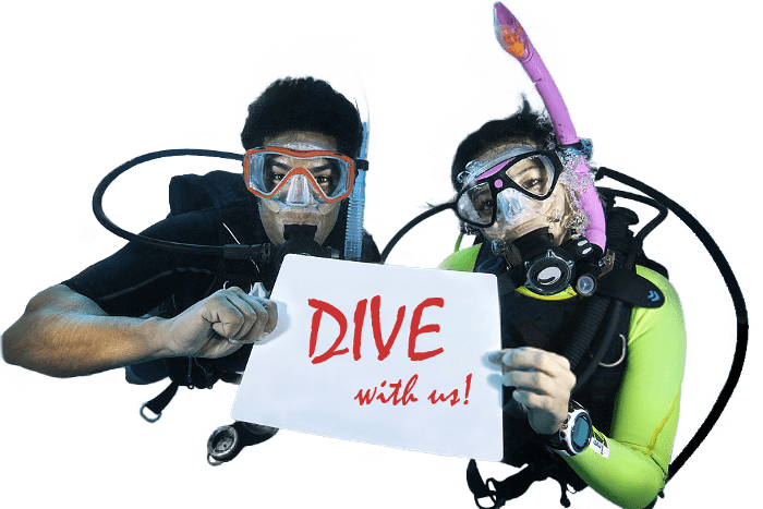divers-slider.png