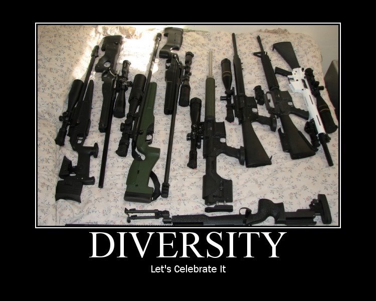 diversitymoto_db4f471037db9aad229a97d4dfa7a9f4733d0894.jpg