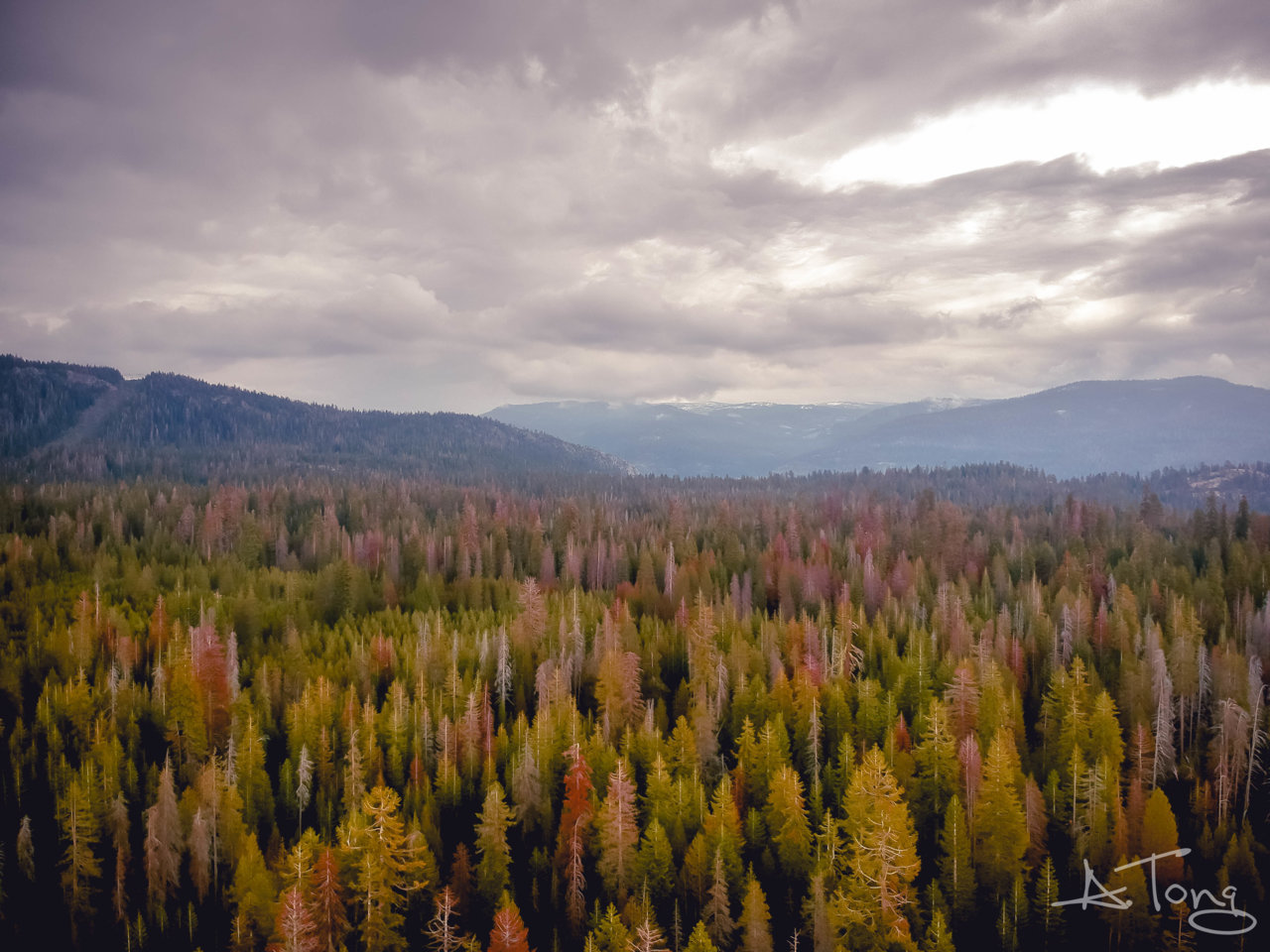 DJI_0004.jpg