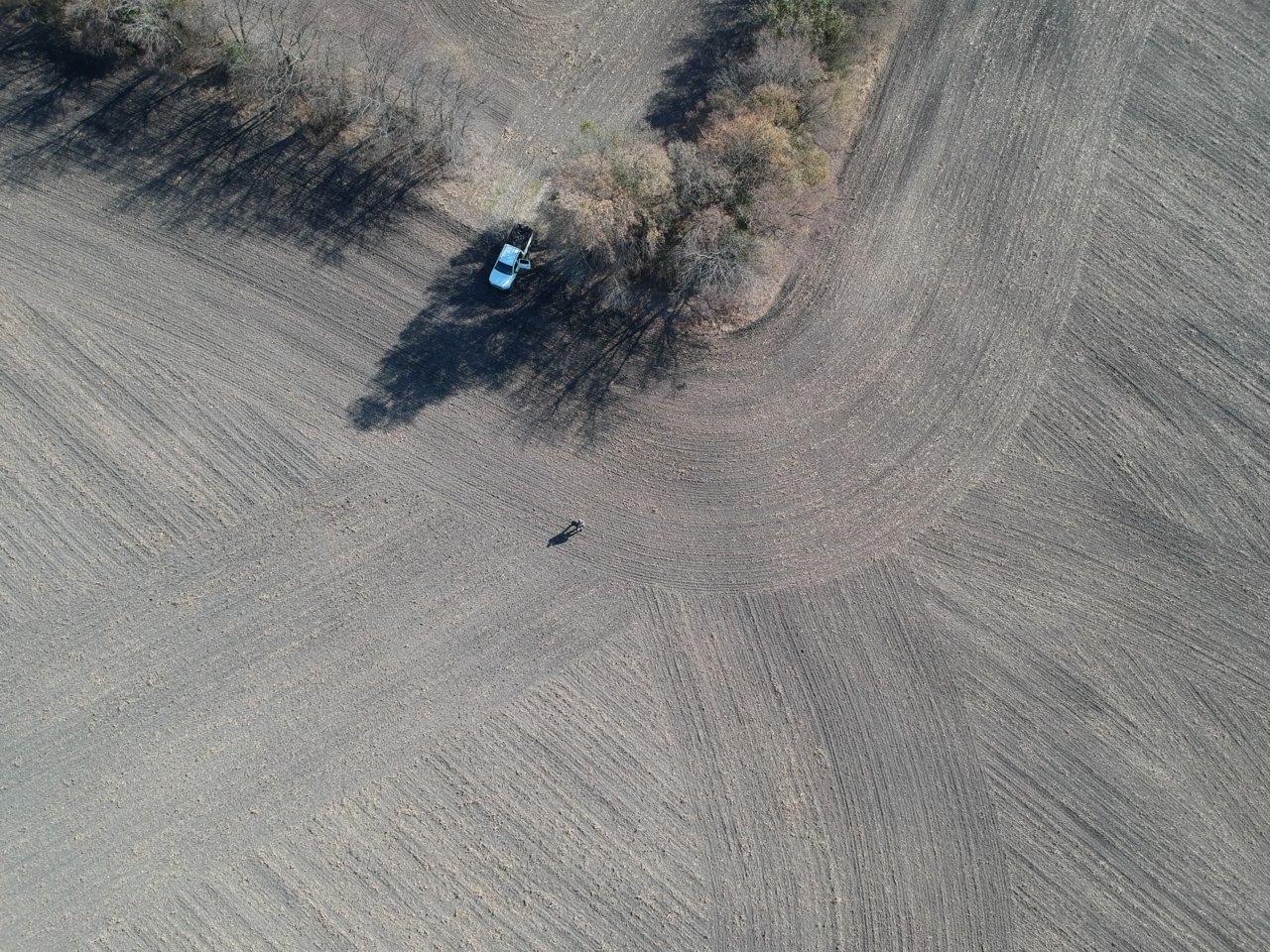 DJI_0004.jpg