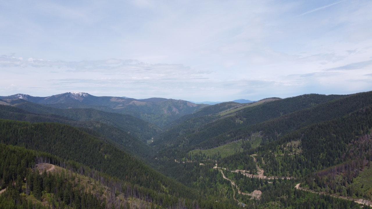 DJI_0009.jpg