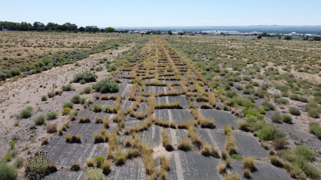 DJI_0012.jpg