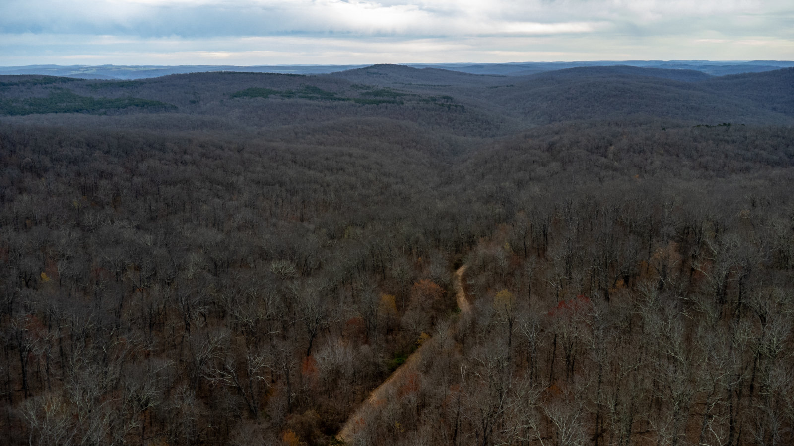 DJI_0017.jpg