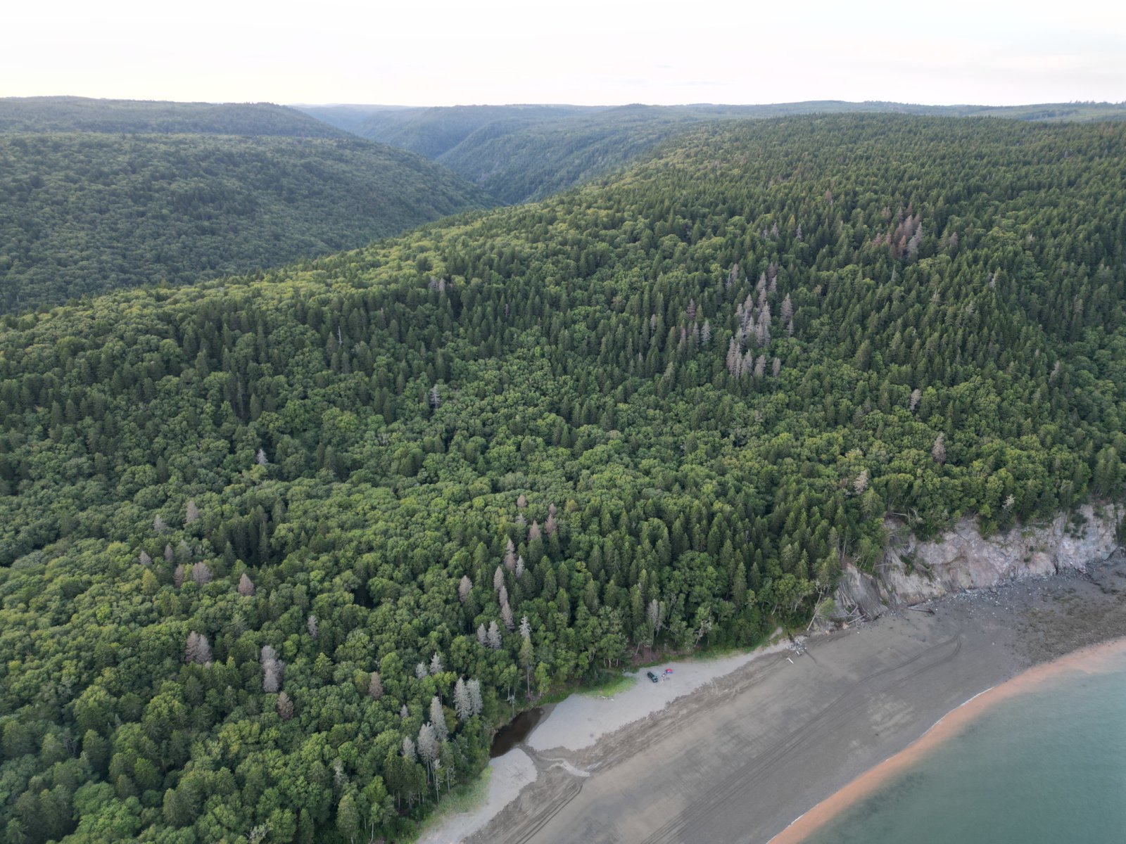 DJI_0123.jpg