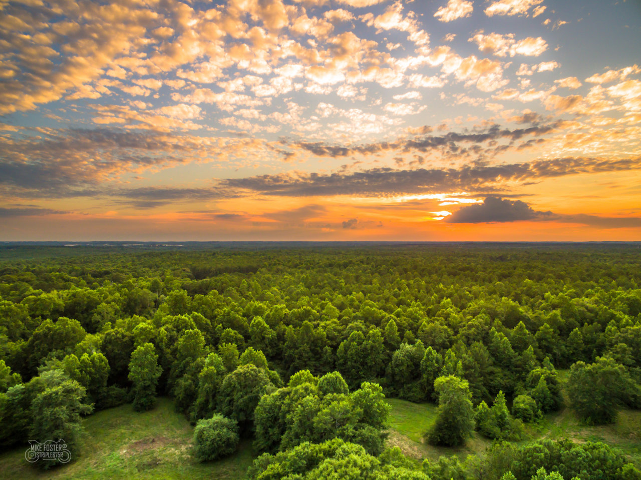 DJI_0159.jpg