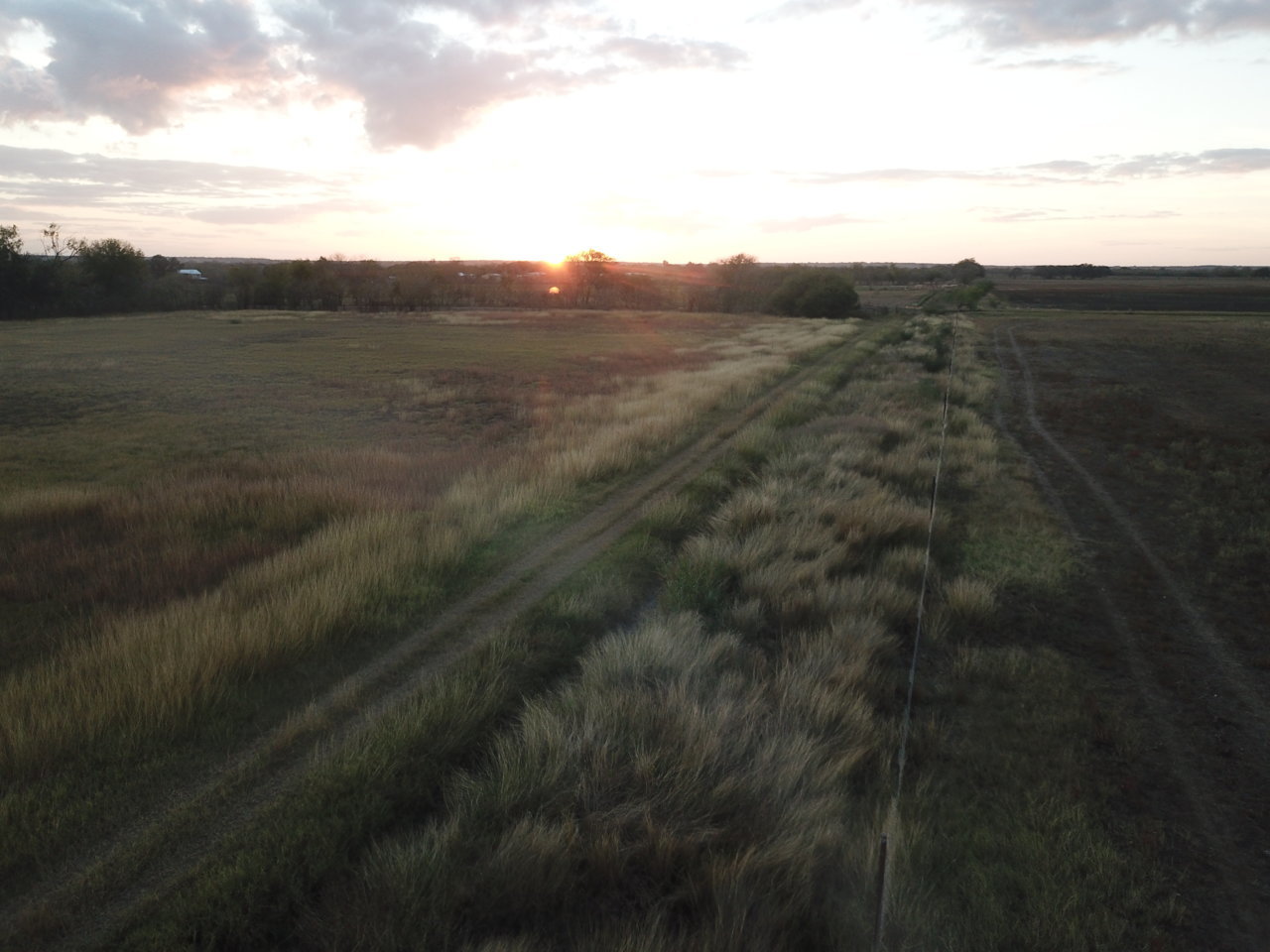 DJI_0169.jpg