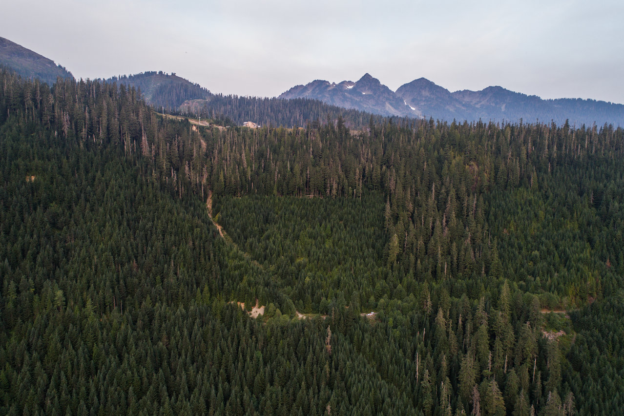 DJI_0178.jpg