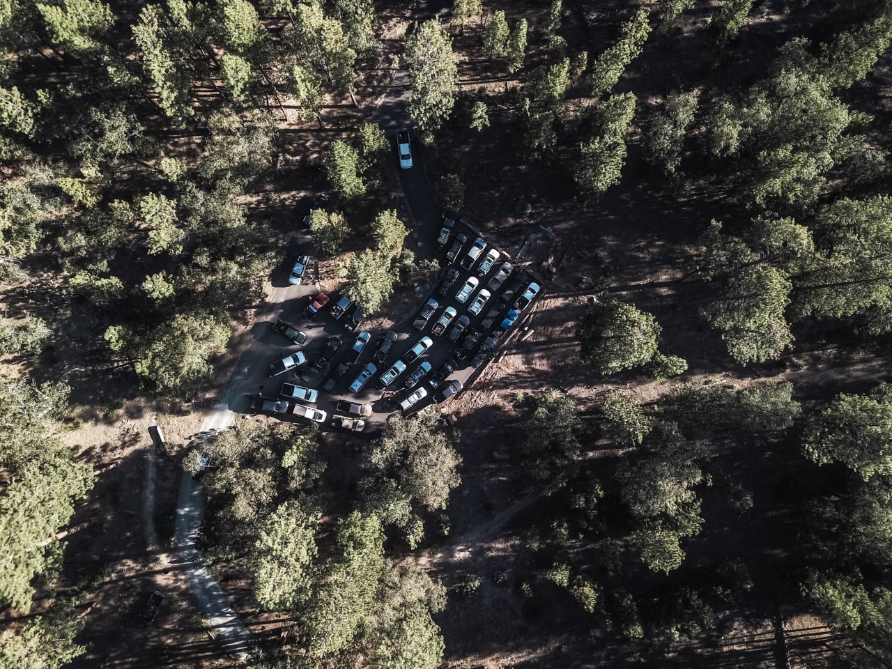 DJI_0201.jpg