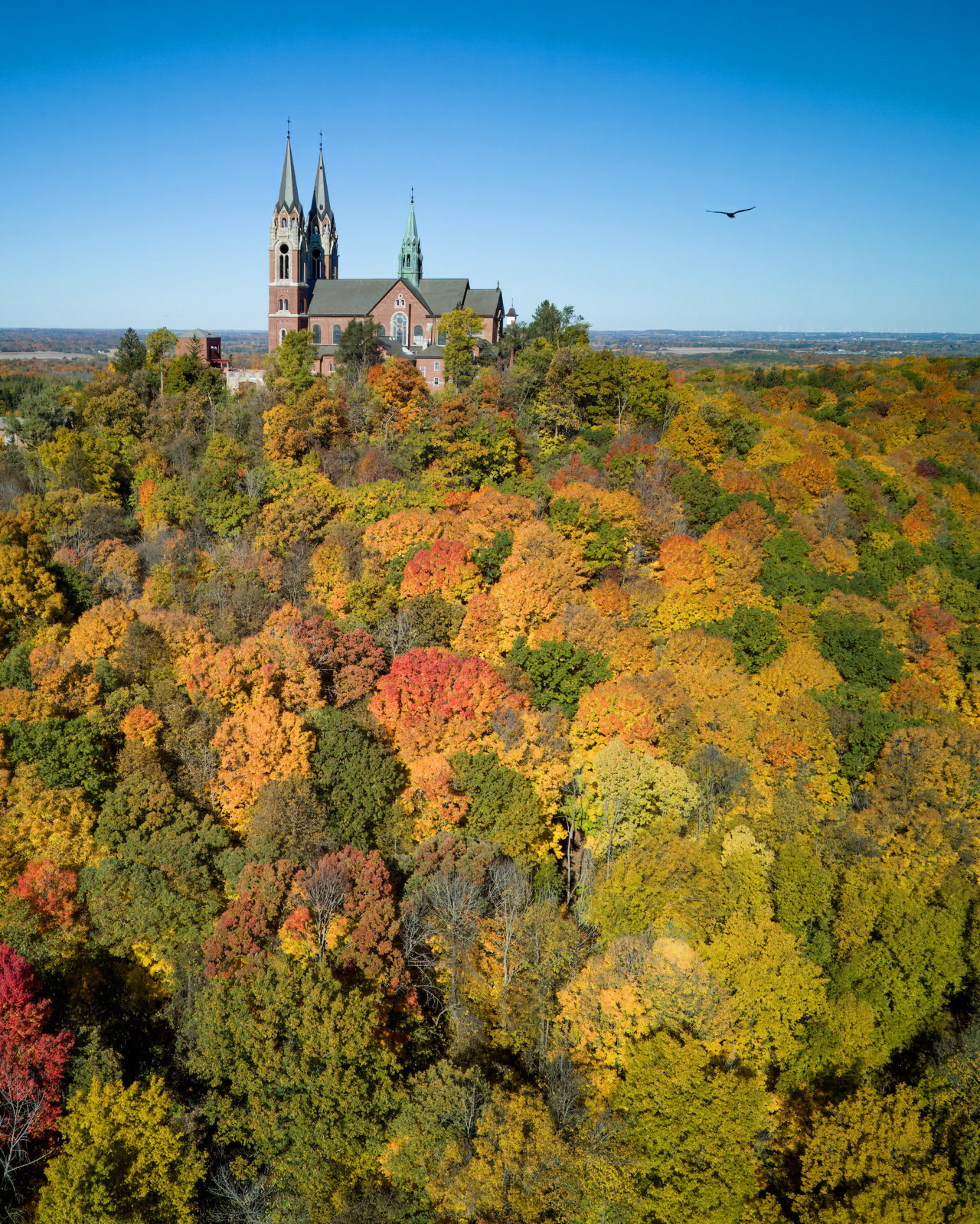 DJI_0203-hawk view.jpg