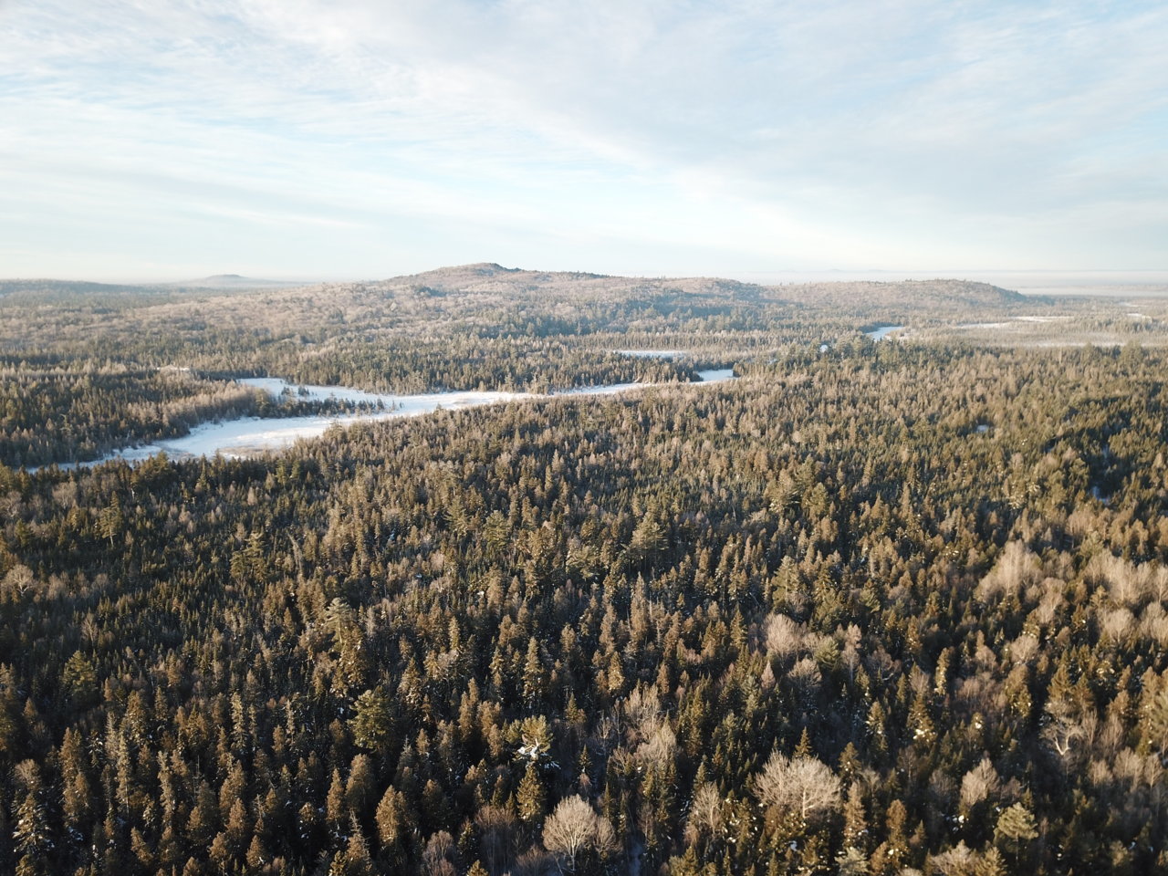 DJI_0664.jpg