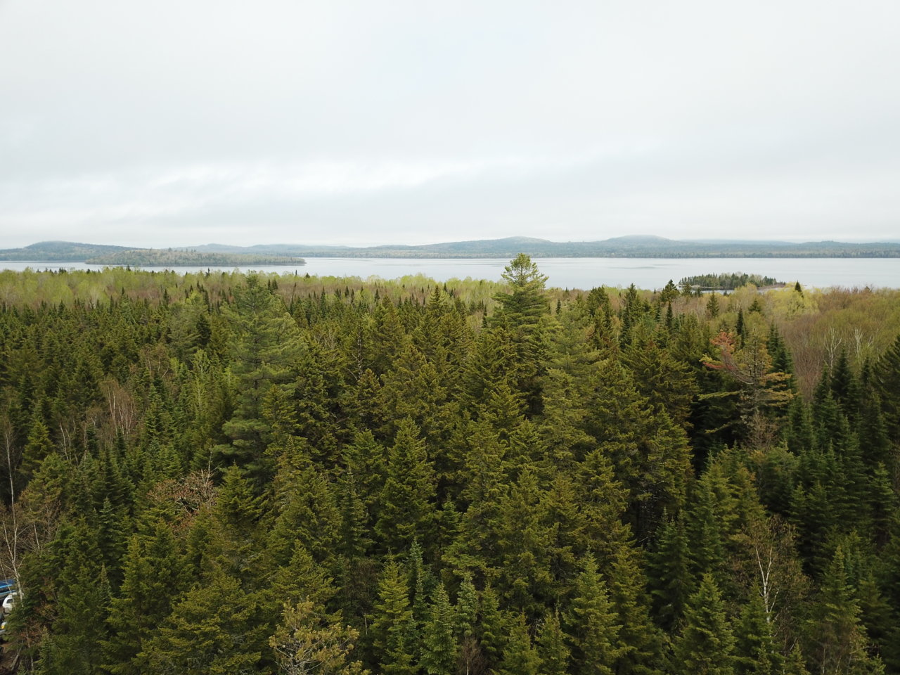 DJI_0684.jpg