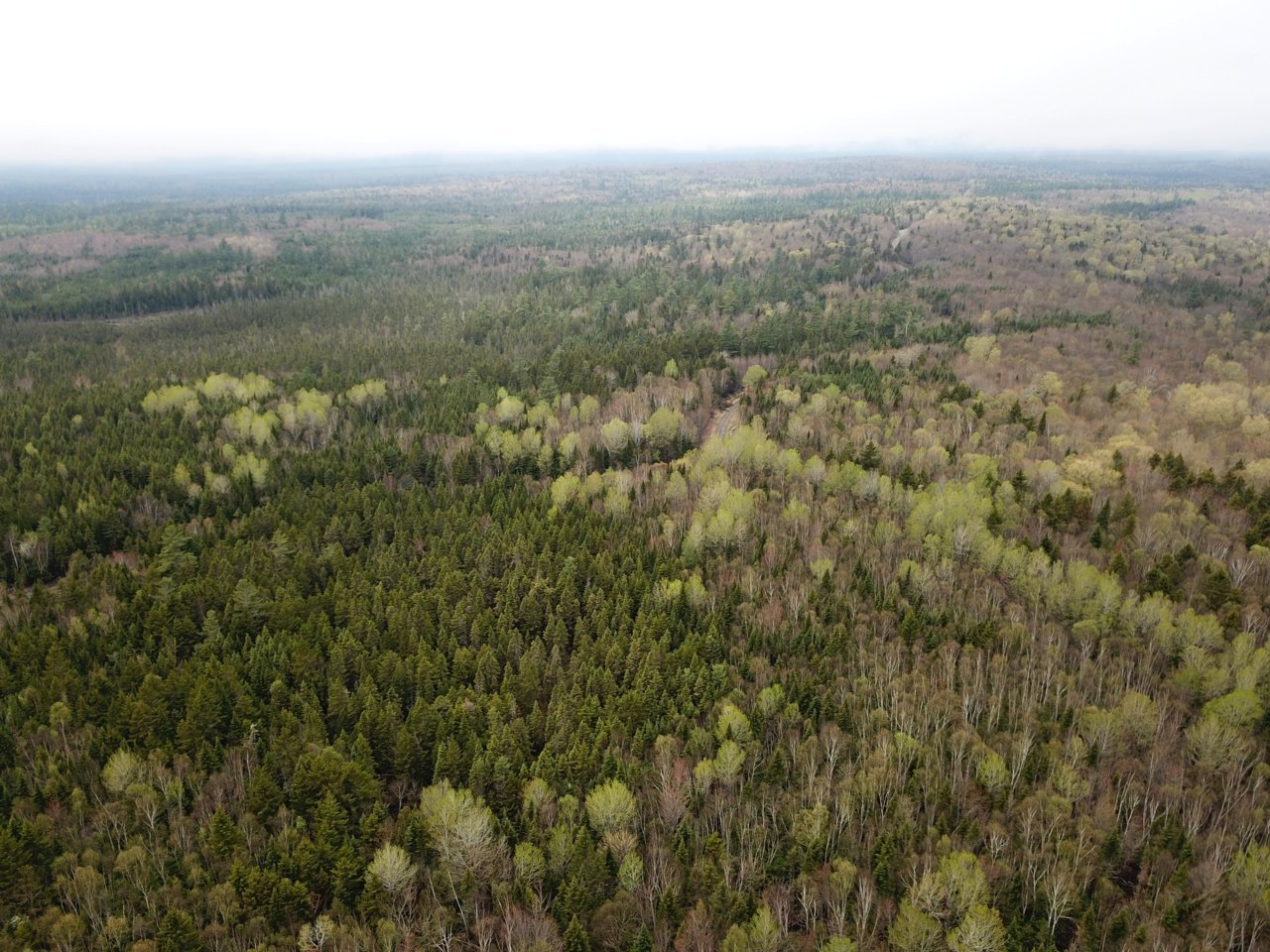 DJI_0690 [1].jpg