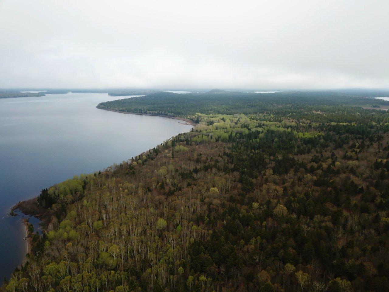 DJI_0691 [1].jpg
