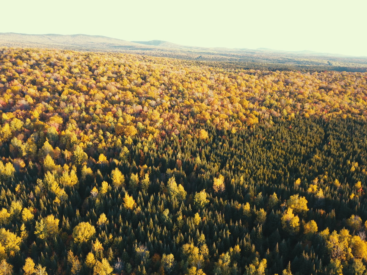 DJI_0761.jpg