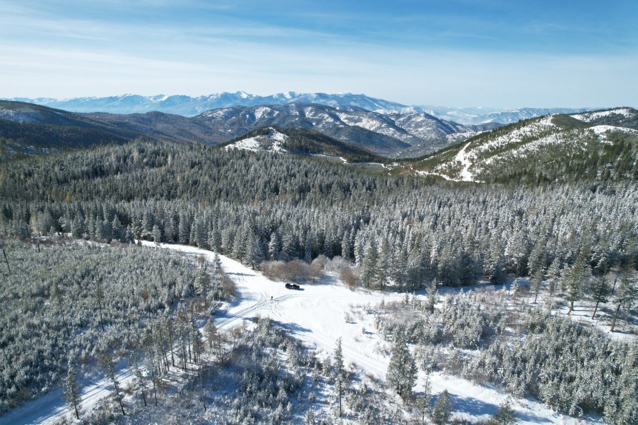 dji_fly_20221111_121526_129_1668209795295_photo.jpg