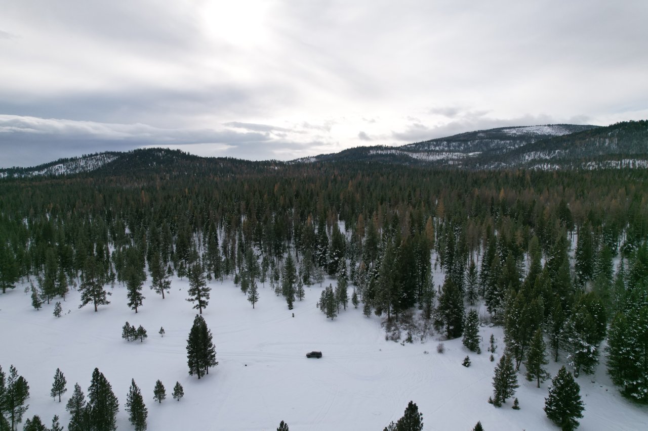 dji_fly_20221209_115530_153_1670618567935_photo.jpg