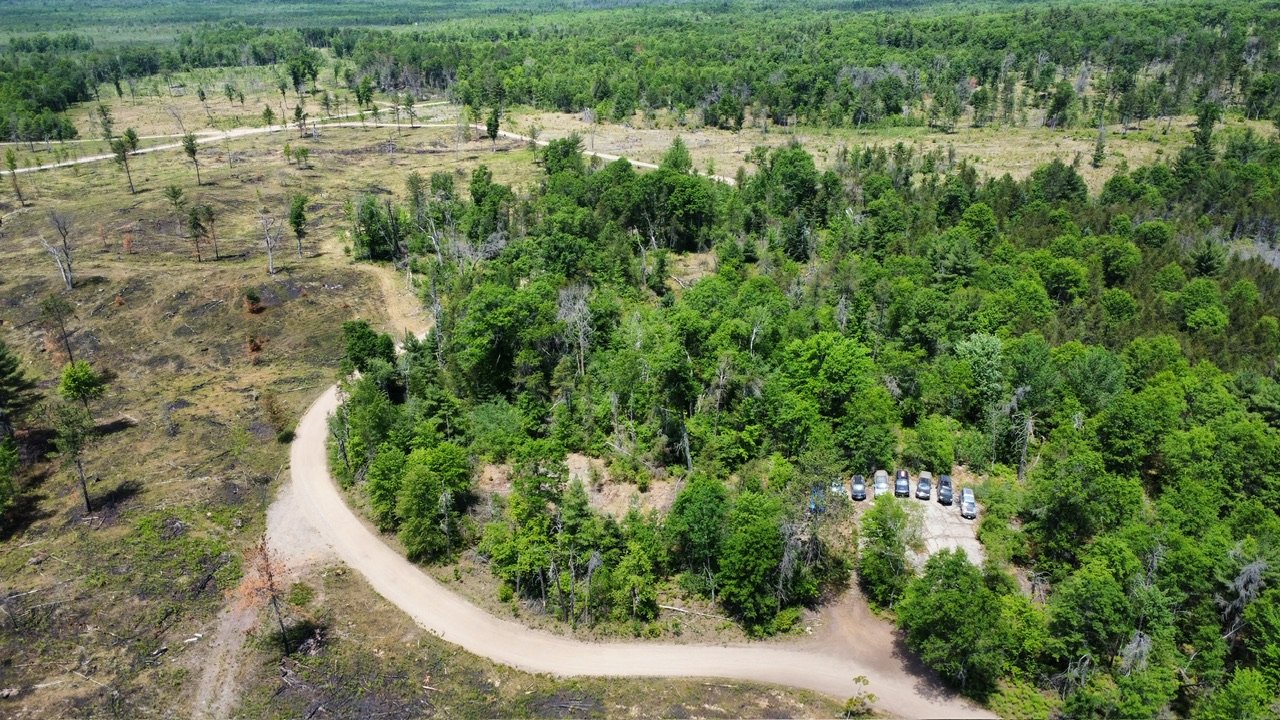 dji_fly_20230609_122900_19_1686331748605_photo_optimized.jpg
