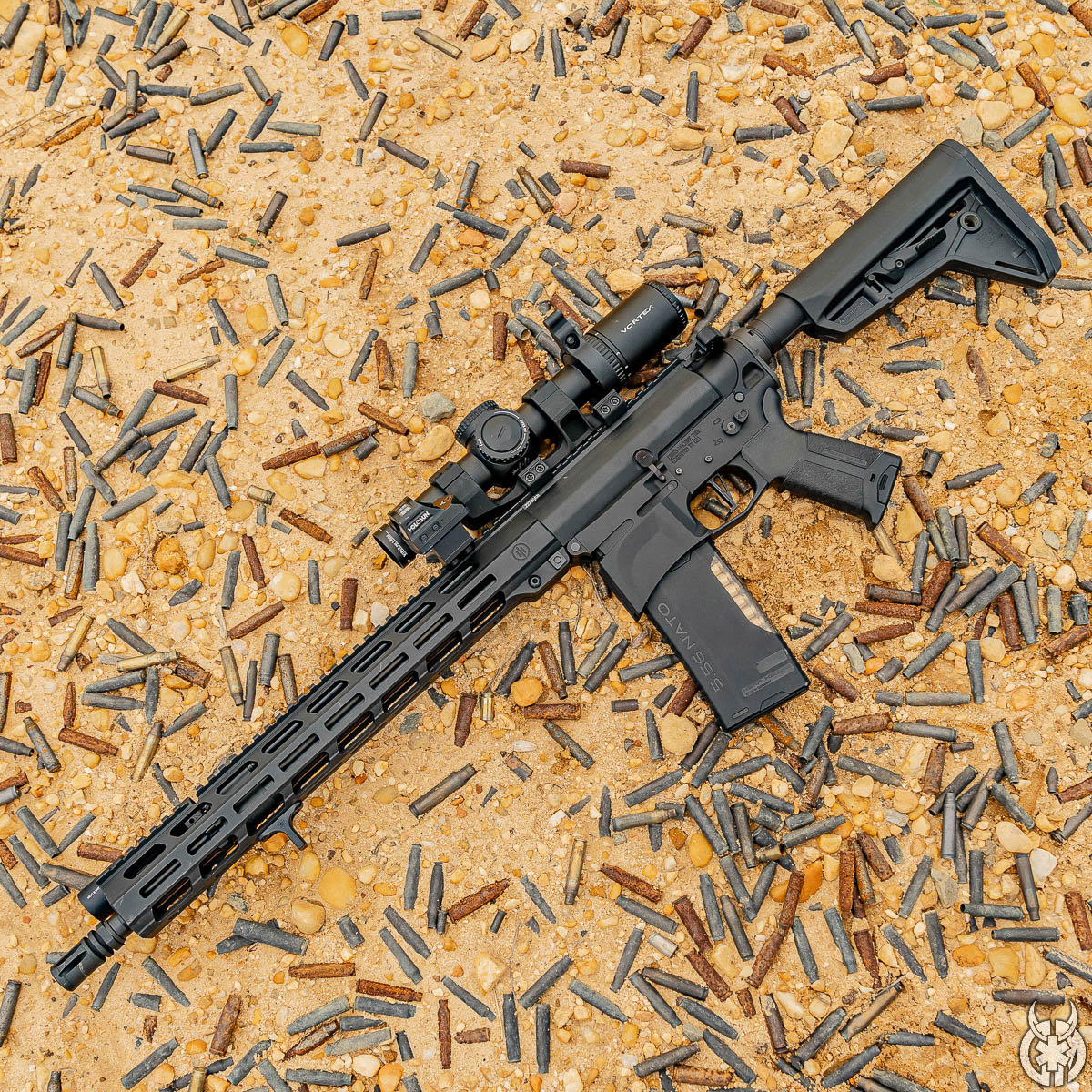 DMG 9-19-20 1x1 (11 of 41).jpg