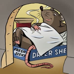 do-dryer-sheets-deter-mice.jpg