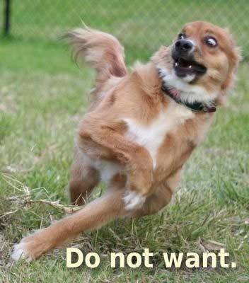 do-not-want-dog_620da21e2ab57997e45cb8ef545caab013686e4c.jpg