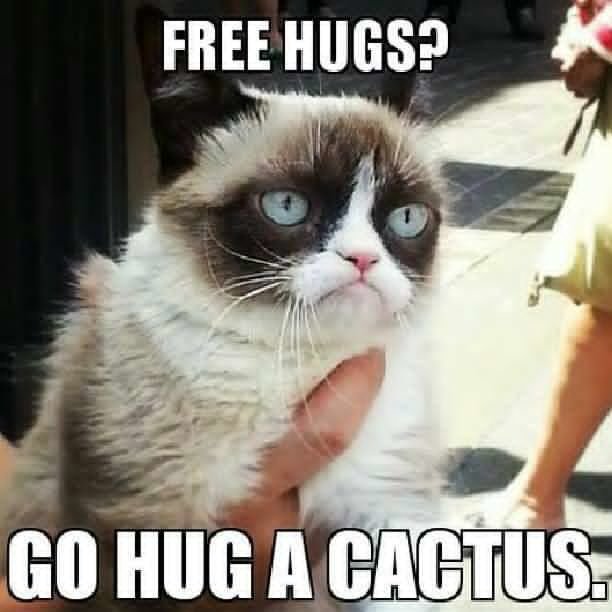do-you-need-free-hugs-angry-cat-meme.jpg
