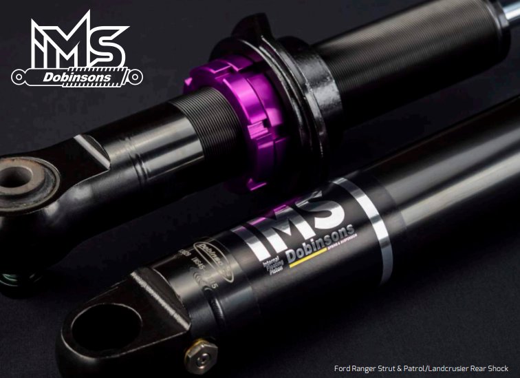 Dobinsons-IMS-strut-shock.jpg