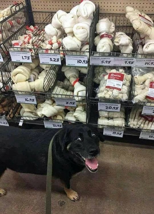 Dod loves bones.jpg