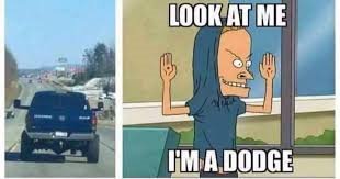 dodgebest.jpg