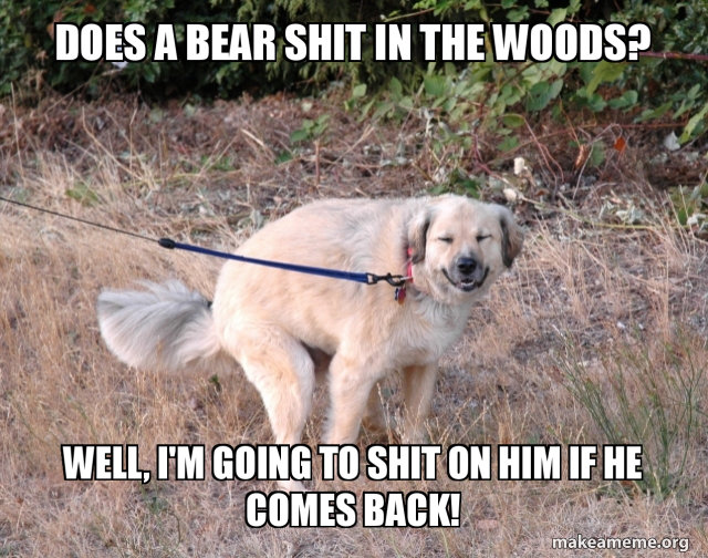 does-a-bear-5cbd28.jpg