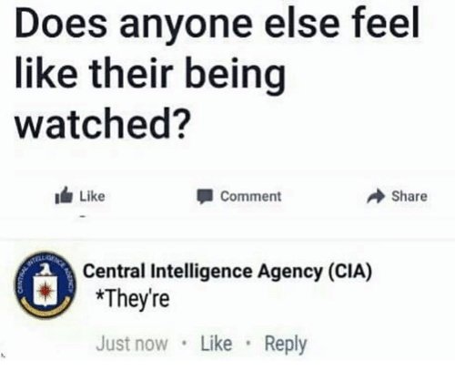 does-anyone-else-feel-like-their-being-watched-i-like-16204281.jpg