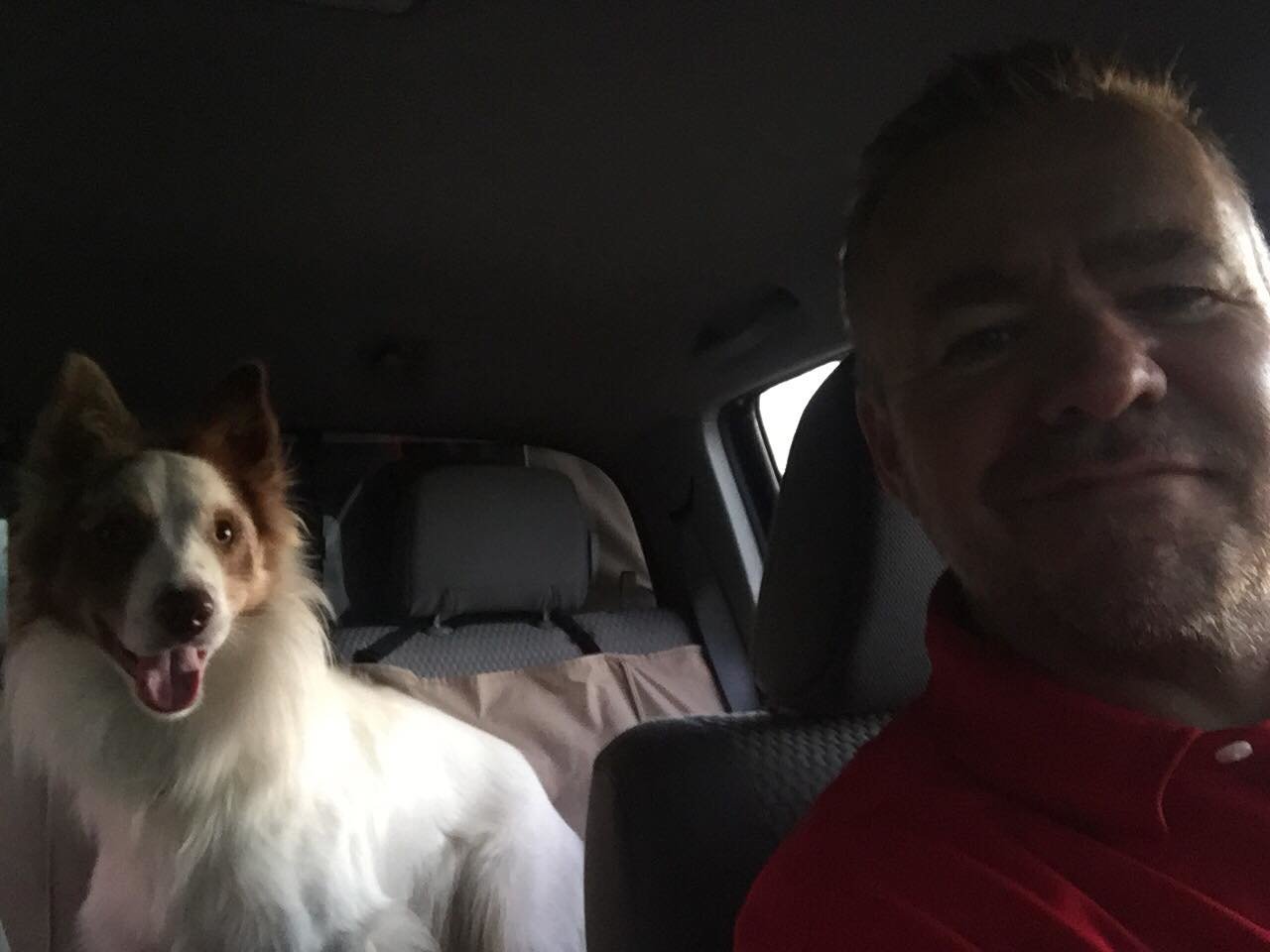 Dog and Tacoma.jpg