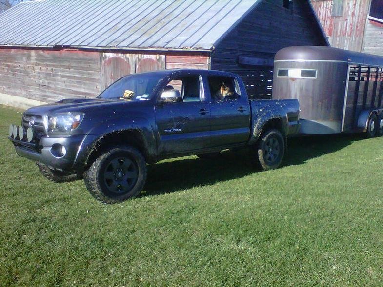 dog and trailer.jpg