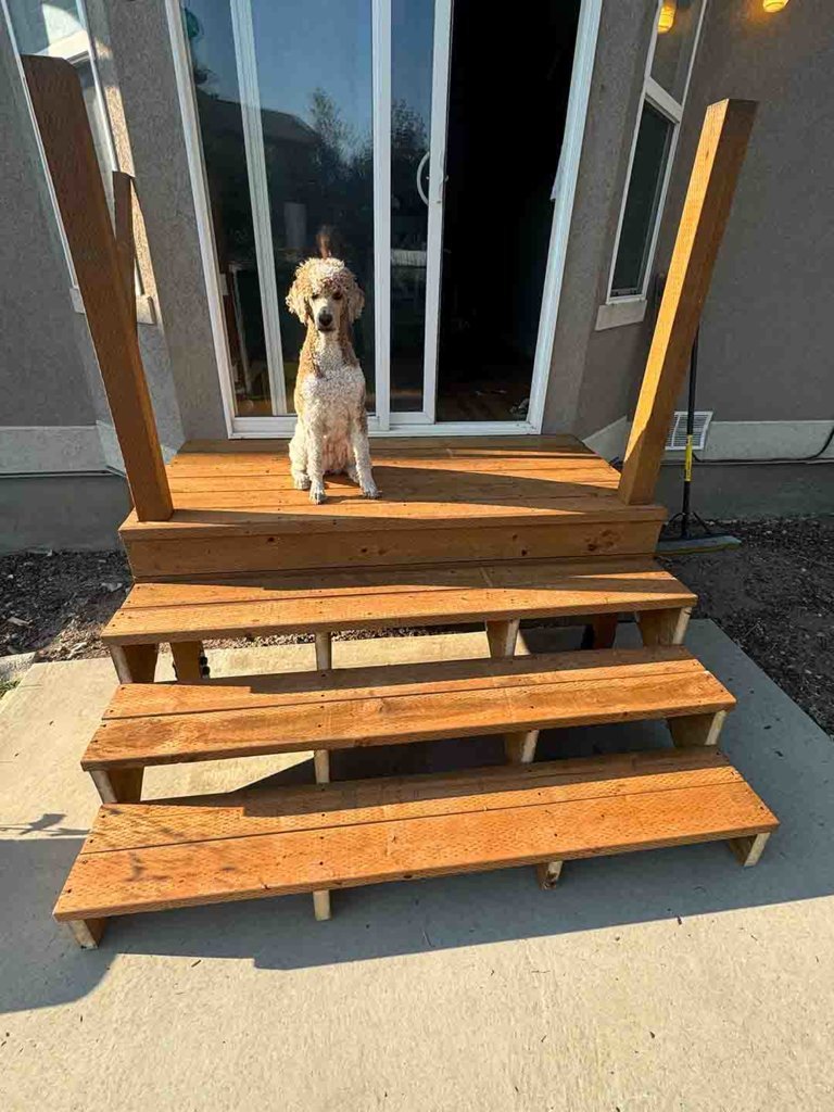 dog approved.jpg