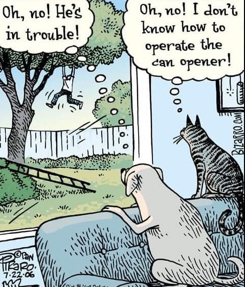 dog-cat_8fa6e5a49beb44991cf1066b0c6c43d6de5e6b4e.jpg