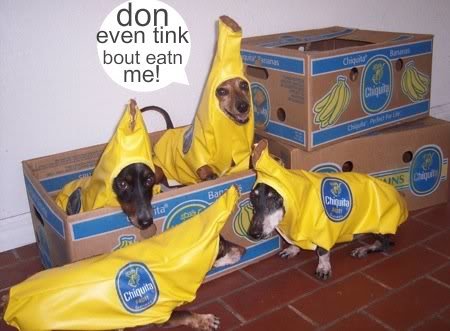 dog-costume-banana_152d54cfbece151924a2b0d33402a9e61bdc8670.jpg