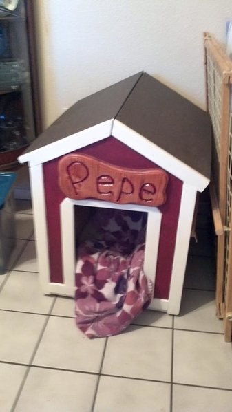dog house-1.jpg