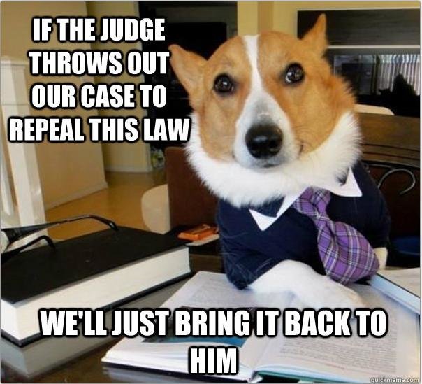 dog.jpg