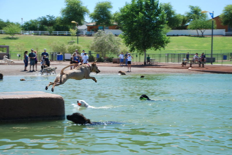 Dog park 6-12-11 001.jpg