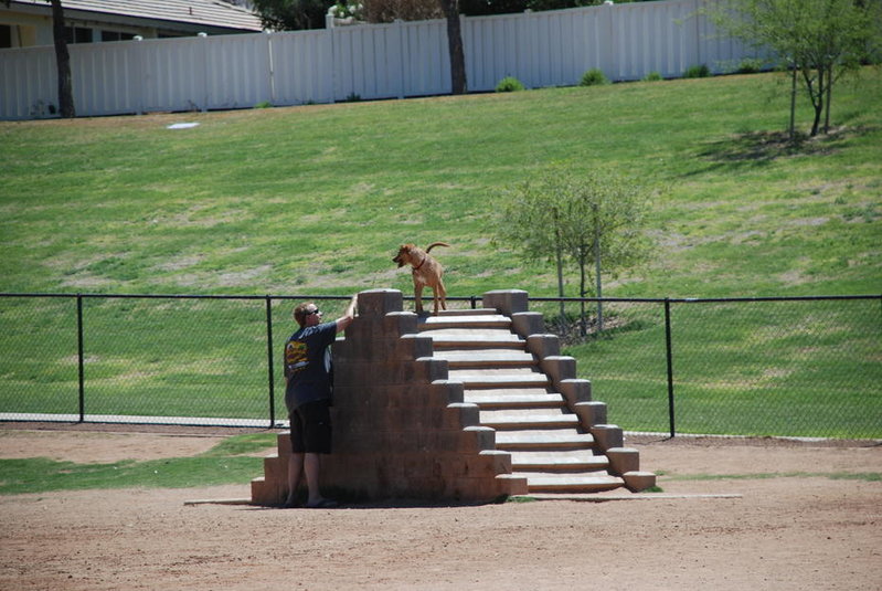 Dog park 6-12-11 077.jpg