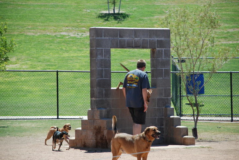 Dog park 6-12-11 081.jpg