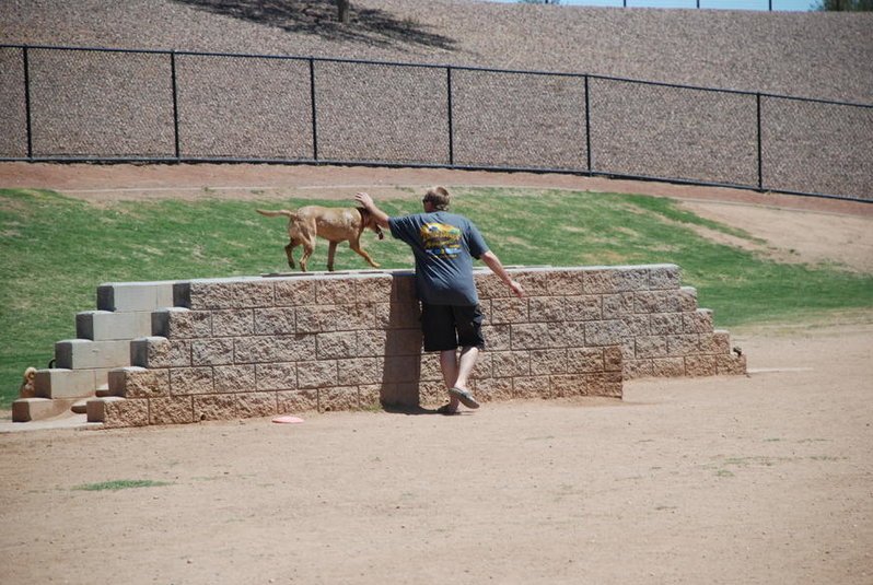 Dog park 6-12-11 083.jpg