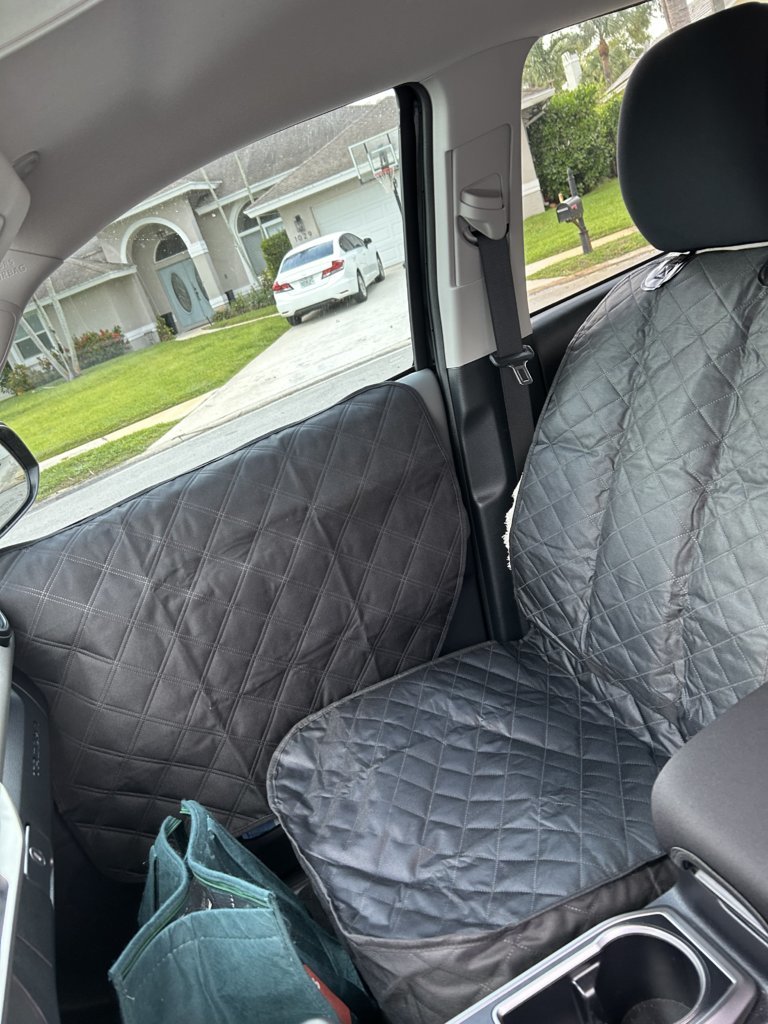 Dog seat.jpg