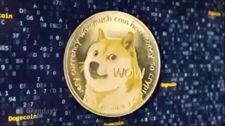 dog1.jpg