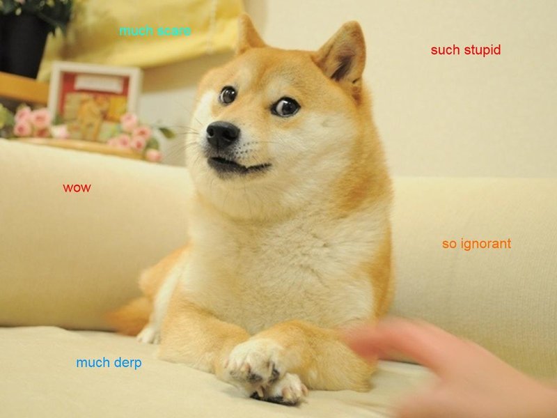 Doge.jpg