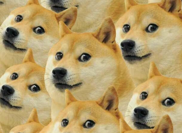 DOGE-.jpg