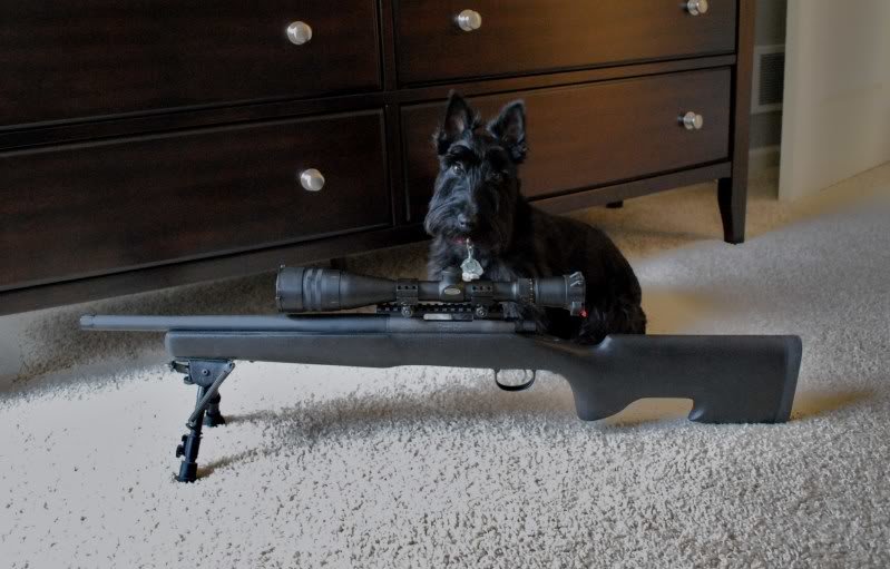 DogetGun_1d75e861f351ca81dab227967a80b71aa99e3627.jpg